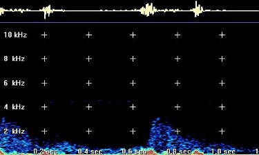 Doppler